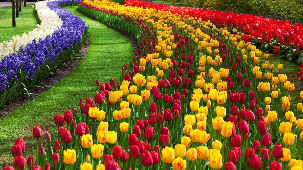 Kashmir Heaven on Earth Tour Package