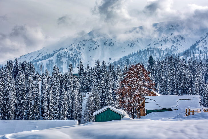 Gulmarg Excotic Winter Package  Tour Package