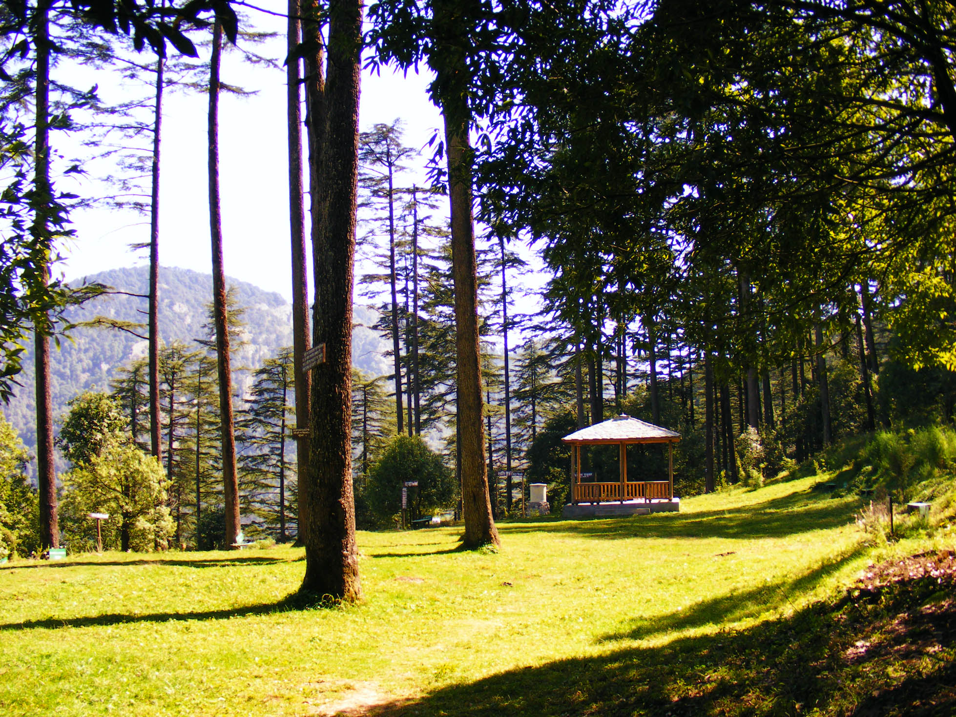 Majestic Mussoorie Experience – Special Dhanaulti Tour Package