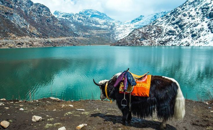 Mystical North Sikkim Nature Escape – 3 Days Tour Package
