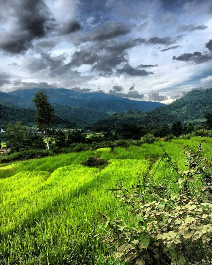 Singapore Malaysia Thailand Tour Package 