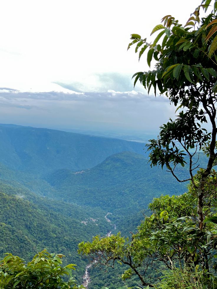 Majestic Meghalaya Expedition | 7-Days Adventure Through Jungles, Falls & Sacred Wonders Tour Package