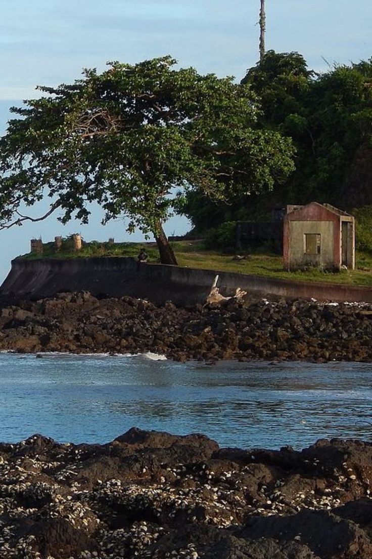 Romantic Escapade to Andaman | 7-Day Honeymoon Journey from Bangalore Tour Package