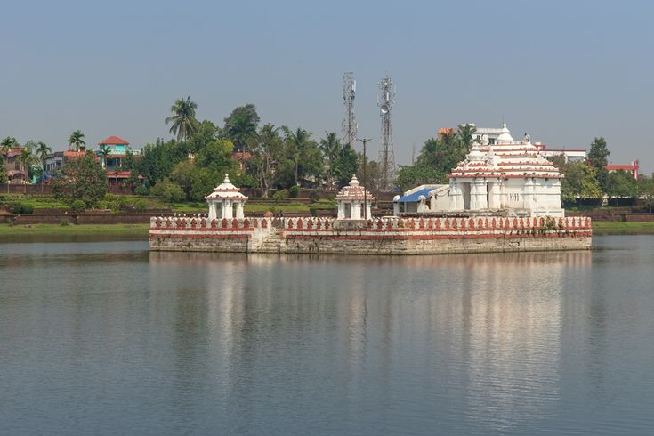 Wildlife with Golden Triangle Tour Tour Package