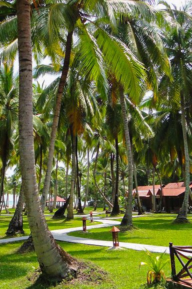 Eternal Shores of Andaman | 5-Day Romantic Escape Tour Package