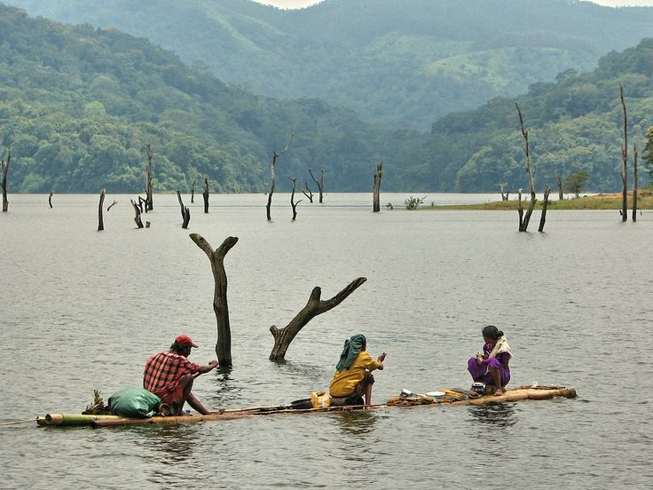  Kerala Family Getaway | From Munnar Hills to Coastal Kovalam Tour Package