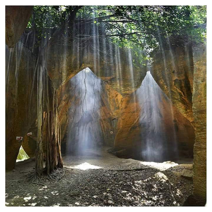 Best of Gujarat with Wildlife Expedition – 10 Nights / 11 Days Tour Package