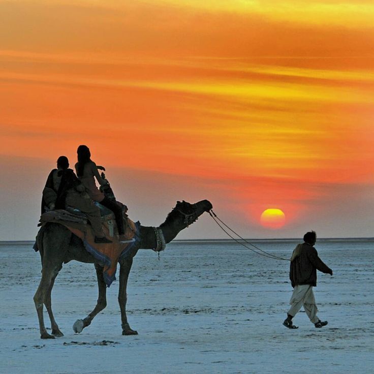Enchanting Desert & Beach Escape – 4 Nights / 5 Days Tour Package