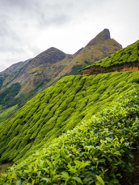 Kerala with Goa Luxury Tour Tour Package