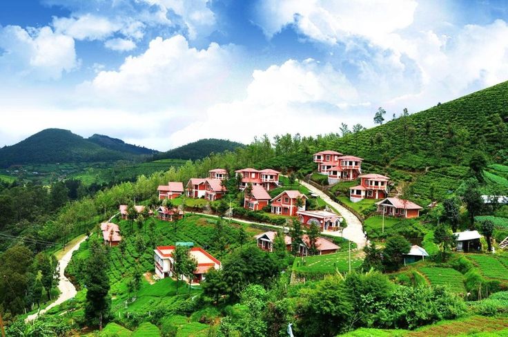 Ooty 3 Nights 4 Days Package Tour Package