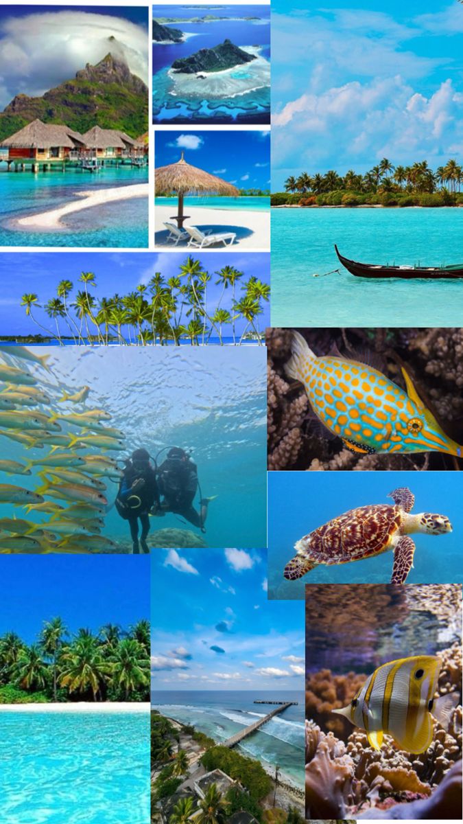 Cordelia Cruise: Mumbai–Kochi–Lakshadweep–Mumbai (6 Days / 5 Nights) Tour Package