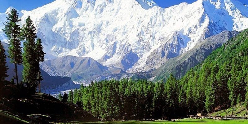 Mystic Kashmir Journey Tour Package