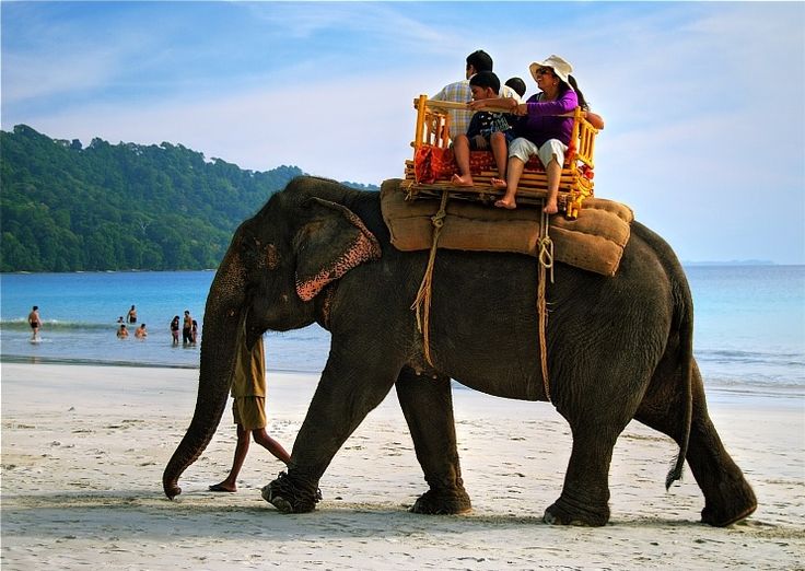 Enjoy andaman island with sea shores