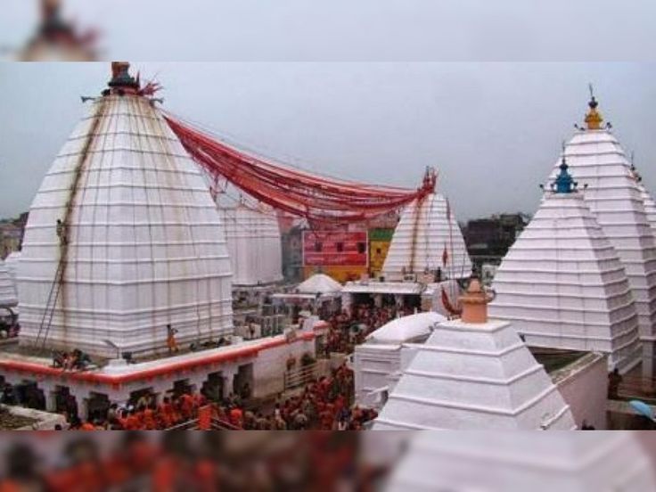 Wild animals in Jharkhand wildlife sanctuary