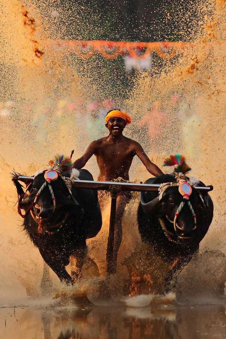 Bandipur National Park wildlife safari Karnataka