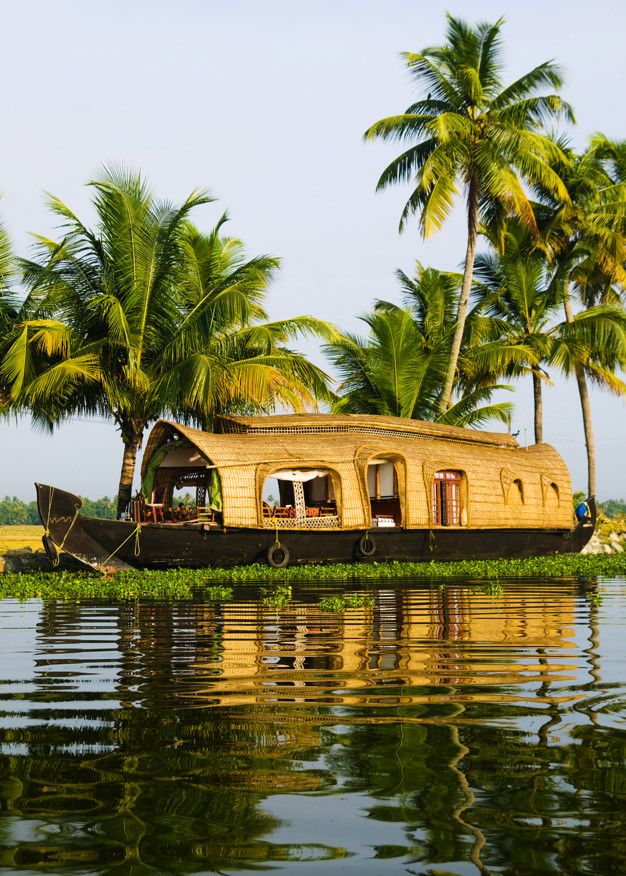 Kerala backwaters and coconut palm scenery