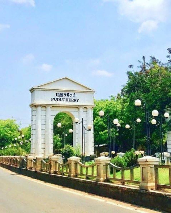 Enjoy package with safari