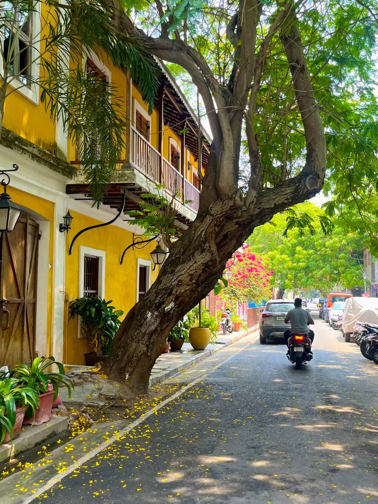 Safari World is a tourist attraction in Bangkok