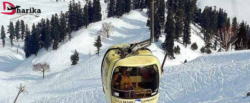 Enjoy package with safari